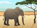 Beautiful wild african animal illustration. Big Elephant standing on the grass with savannah and tree background. Royalty Free Stock Photo