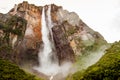 View from below forest of angel falls in venezuela in canaima park, giving a sense of discovery and awe Royalty Free Stock Photo