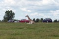 Wild Animal Giraffe in Hamilton Lion Safari in Ontario Canada