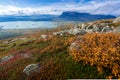 Beautiful, wild arctic valley viewed from mountain top in epic early morning light. Remote Rapa river valley from the Royalty Free Stock Photo