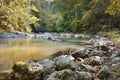 The Beautiful wild autumnal forest with small stream or wild river and colorful fallen leaves. Polish forest in autumn. Dark fores Royalty Free Stock Photo