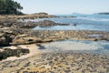 Beautiful wild beach at low tide with rocks and mussels. Royalty Free Stock Photo