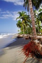 Beautiful wild caribbean beach landscape - Costeno Beach