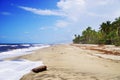 Beautiful wild caribbean beach landscape - Costeno Beach