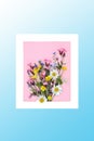 Beautiful Wild Flower Posy Abstract Picture Frame Royalty Free Stock Photo