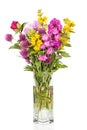 Beautiful Wild Flowers Bouquet. Wildflowers in vase Royalty Free Stock Photo