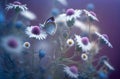 Beautiful wild flowers and butterfly in morning in nature close-up. Cool blue tones. Generative AI. Royalty Free Stock Photo