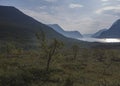 Beautiful wild Lapland nature landscape with blue Kaitumjaure lake, birch tree forest and mountains. Northern Sweden summer at