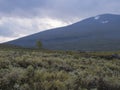 Beautiful wild Lapland nature landscape with green bushes, snow capped mountains and lonely birch tree. Northern Sweden summer at