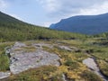 Beautiful wild Lapland nature landscape with with Kungsleden hiking trail path, birch tree bushes, mountains and dramatic clouds. 