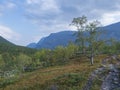 Beautiful wild Lapland nature landscape with with Kungsleden hiking trail path, birch tree bushes, mountains and dramatic clouds.