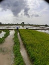 Beautiful Wild Nature Farming Farmers