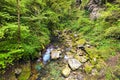 Beautiful wild nature in Tolmin Gorge. Fast mountain Zadlascica river flows between the high mountains with trees. Royalty Free Stock Photo