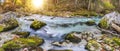 Beautiful wild river with clear water in ravine