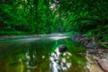 Beautiful wild river in summertime green forest Royalty Free Stock Photo