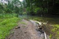 Beautiful wild river in summertime green forest Royalty Free Stock Photo