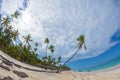 Beautiful wild and sand beach in Punta Cana, Dominican Republic Royalty Free Stock Photo