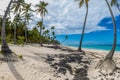 Beautiful wild and sand beach in Punta Cana, Dominican Republic Royalty Free Stock Photo