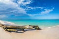 Beautiful wild and sand beach in Punta Cana, Dominican Republic Royalty Free Stock Photo