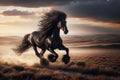 beautiful wild shiny black stallion horse Royalty Free Stock Photo