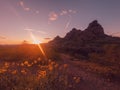 Beautiful wild spring flower blooming Papago Park as the sun sets over Phoenix,Arizona,USA.