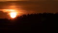 Beautiful wild sunrise over forest. Orange cloudy sky. The sun behind the clouds