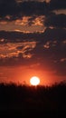 Beautiful wild sunrise over forest. Orange cloudy sky. The sun behind the clouds