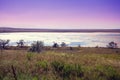 Beautiful wilderness. Salt lake in a steppe