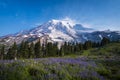 Beautiful wildflowers and Mount Rainier