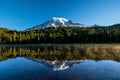 Beautiful wildflowers and Mount Rainier, Washington state