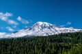 Beautiful wildflowers and Mount Rainier, Washington state