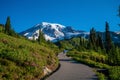 Beautiful wildflowers and Mount Rainier, Washington state Royalty Free Stock Photo
