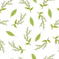 Pussy willow and leaves spring seamless pattern on white background. Vector illustration in a flat style