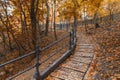 Beautiful winding road in the autumn park Royalty Free Stock Photo