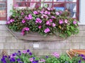 Nantucket Beautiful window box