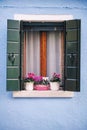 Beautiful Window with flower in Venice Royalty Free Stock Photo