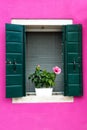 Beautiful window with green shutters and flowers on a pink house wall. Colorful houses on Burano island near Venice, Italy Royalty Free Stock Photo