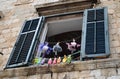 Beautiful window in the old town of Dubrovnik ,Croatia