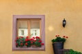 Beautiful window in traditional french house in Colmar, Alsace Royalty Free Stock Photo