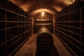 A beautiful wine cellar is filled to the brim with an abundance of bottles of wine. Generative AI