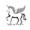 Beautiful winged unicorn on white background.