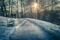 Beautiful Winter afternoon in Linlithgow Park, Linlithgow, Scotland, UK