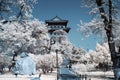 Beautiful winter background displaying a snow-covered park in Beijing, in front of a pagoda