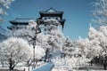 Beautiful winter background displaying a snow-covered park in Beijing, in front of a pagoda