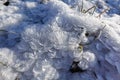 Beautiful winter background. Snow crystals. Freezing day Royalty Free Stock Photo