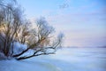 Beautiful winter background; winter landscape On A Hoar Frost Royalty Free Stock Photo