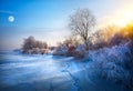 Beautiful winter background; winter landscape On A Hoar Frost Royalty Free Stock Photo