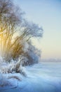 Beautiful winter background; winter landscape On A Hoar Frost Royalty Free Stock Photo