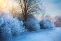 Beautiful winter background; winter landscape On A Hoar Frost Royalty Free Stock Photo