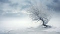 Beautiful winter blizzard lone tree snow, abstraction